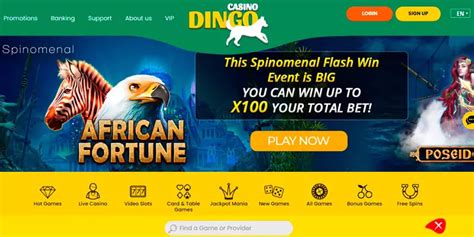 dingo casino review